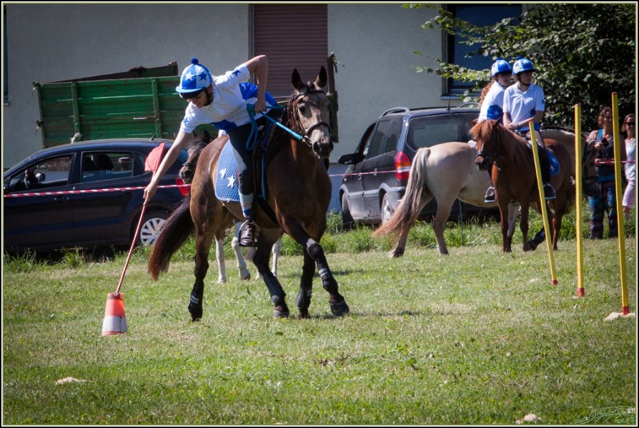 Mounted Games 036
